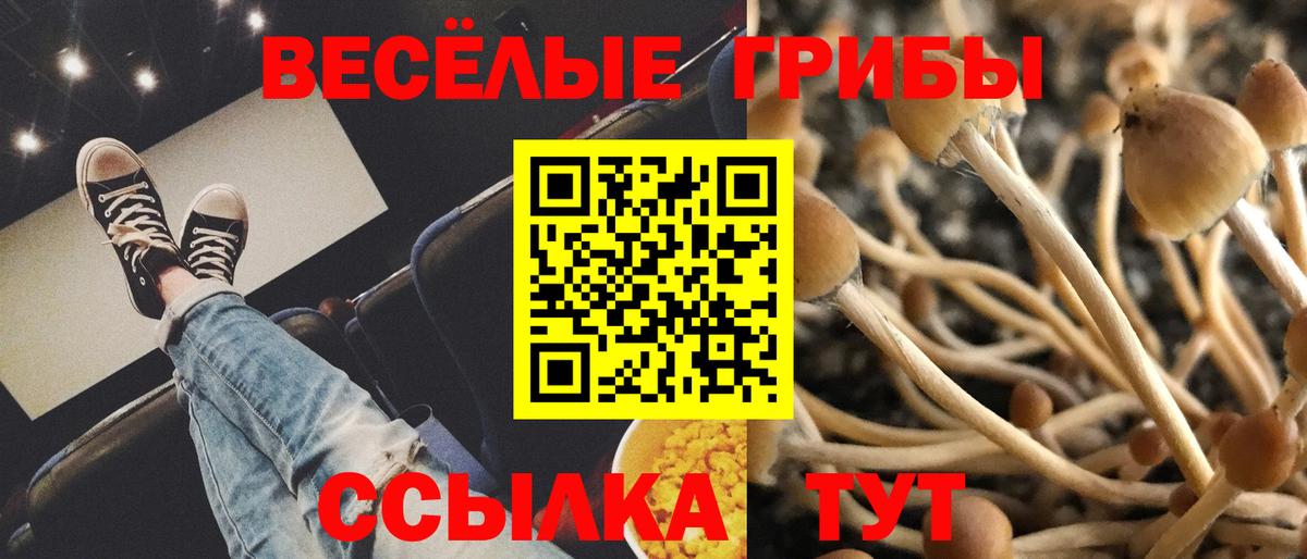 Галлюциногенные грибы мицелий Карабулак