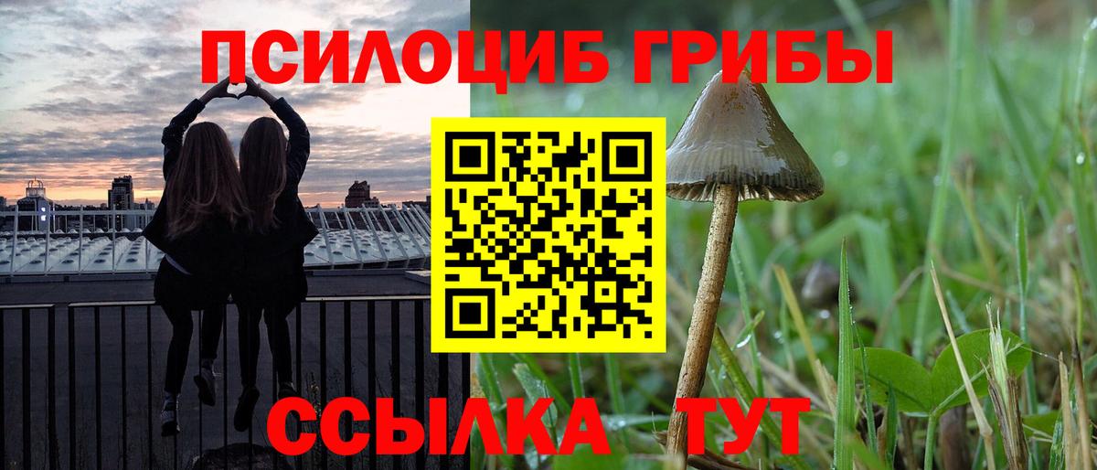 Галлюциногенные грибы Magic Shrooms  Вход с VPN  Карабулак 
